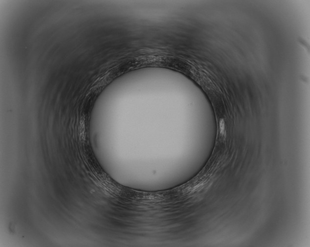 X0000091921203200709051224