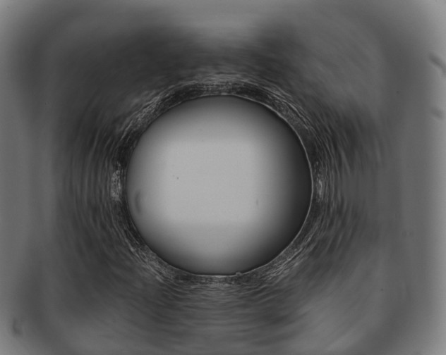 X0000091921204200709051224
