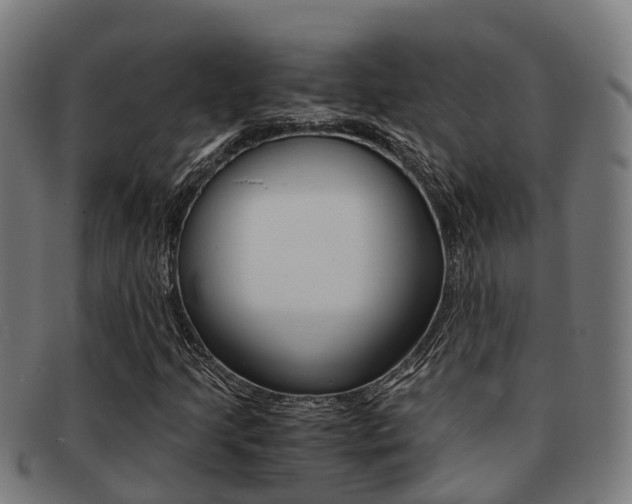 X0000091921205200709051224