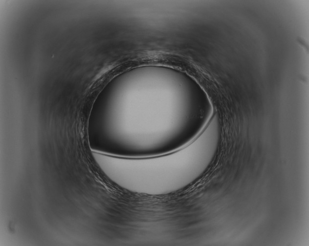 X0000091921206200709051224