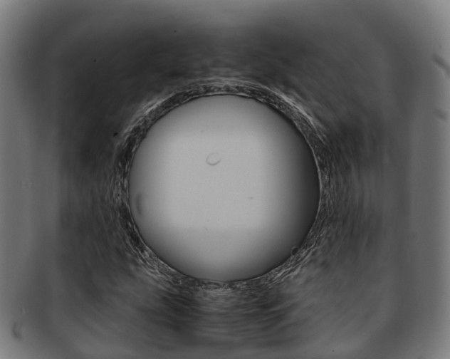 X0000091921207200709051224