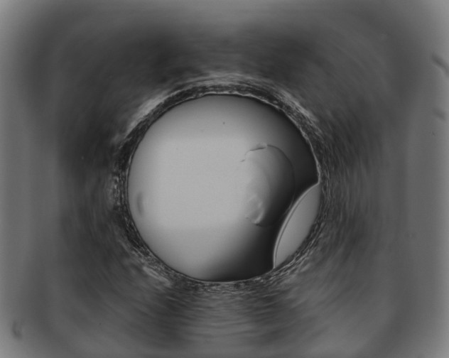 X0000091921208200709051224