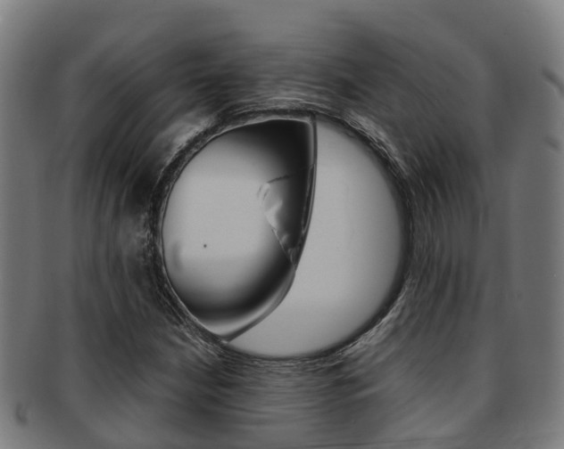 X0000091921210200709051224