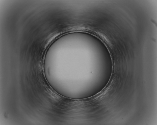 X0000091921212200709051224