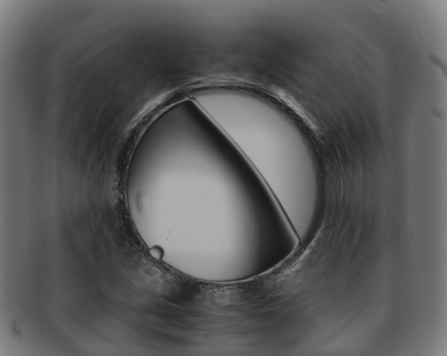 X0000091921213200709051224