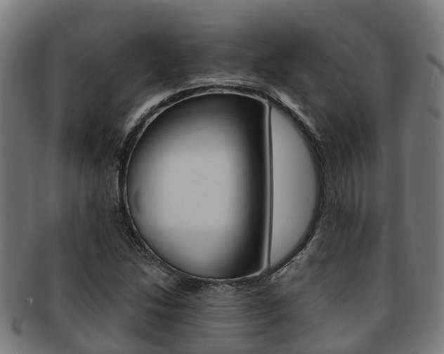 X0000091921214200709051224
