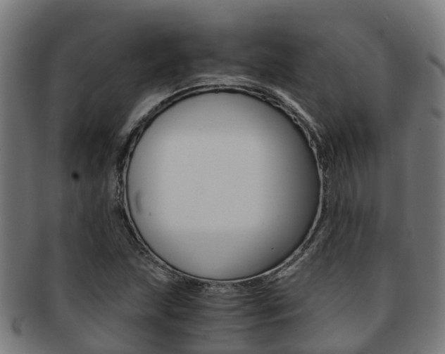 X0000091921215200709051224