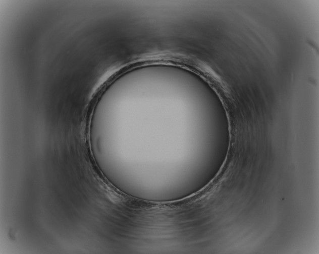 X0000091921216200709051224