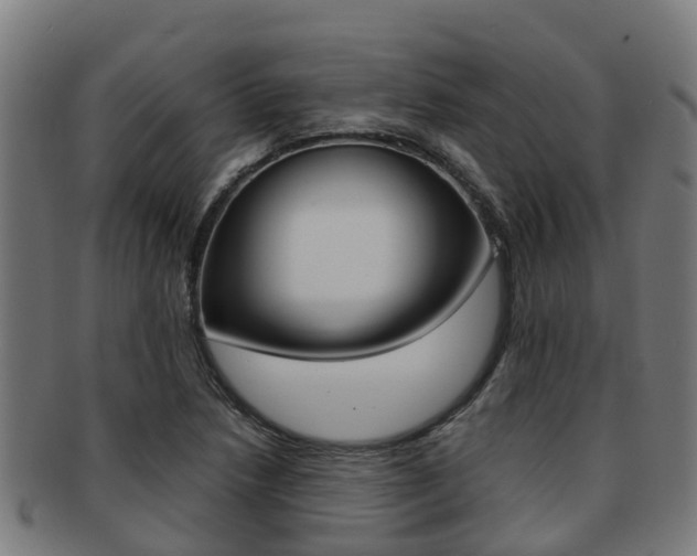 X0000091921218200709051224
