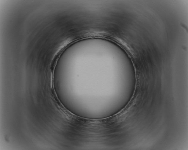 X0000091921219200709051224