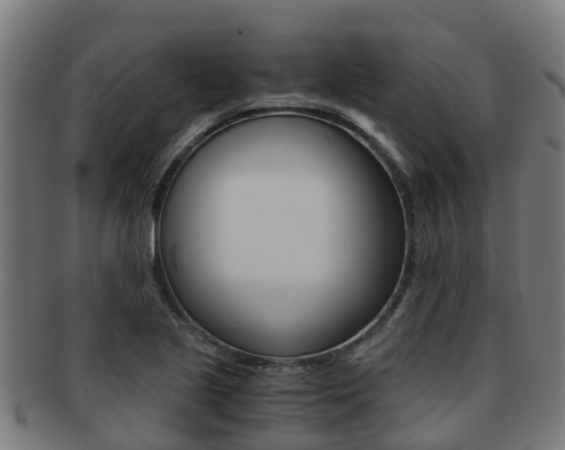 X0000091921221200709051224