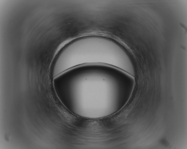 X0000091921222200709051224