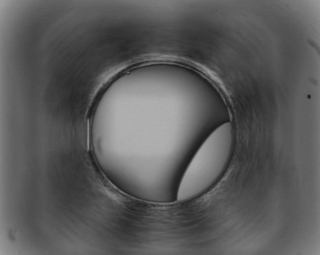 X0000091921223200709051224