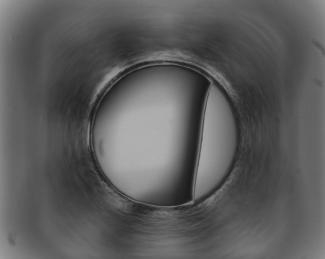 X0000091921224200709051224