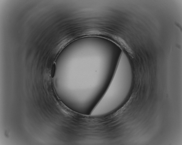 X0000091921225200709051224