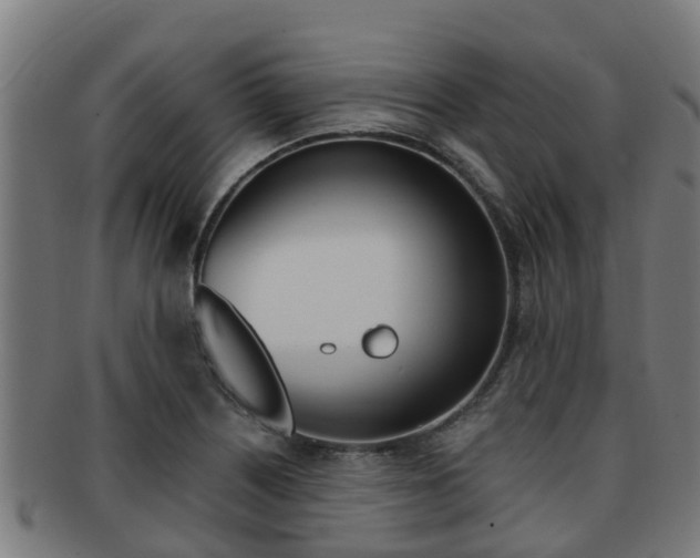 X0000091921226200709051224