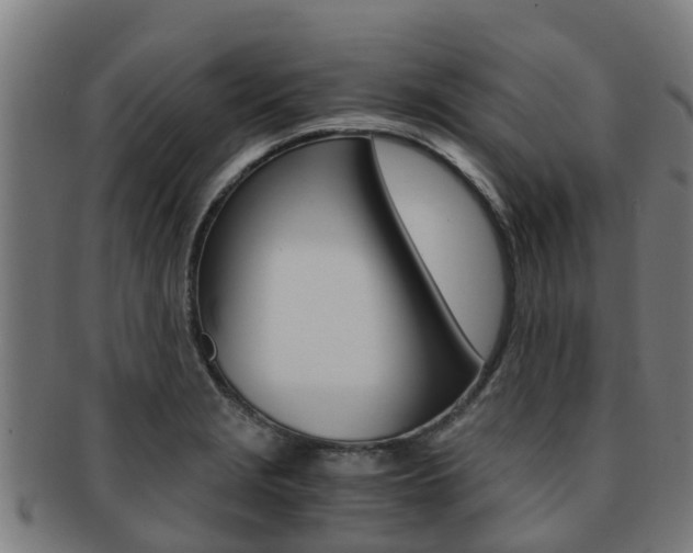 X0000091921229200709051224