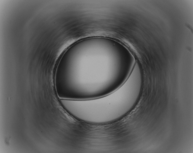 X0000091921230200709051224