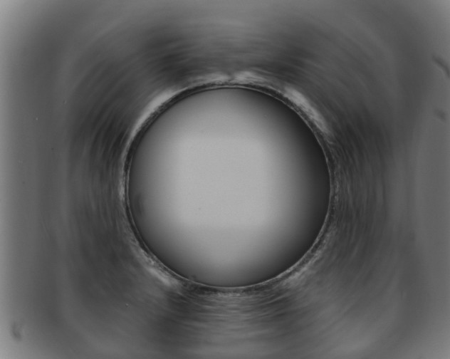 X0000091921232200709051224