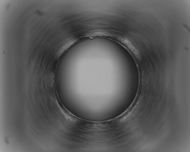 X0000091921233200709051225