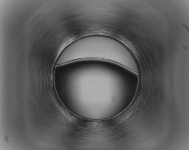X0000091921234200709051225