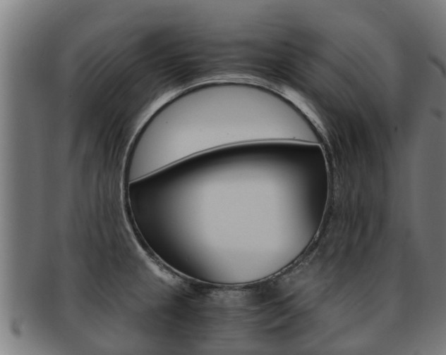 X0000091921237200709051225