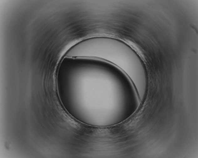 X0000091921238200709051225