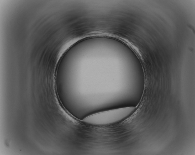 X0000091921239200709051225