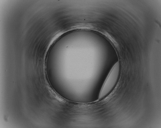 X0000091921240200709051225