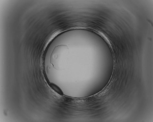 X0000091921243200709051225