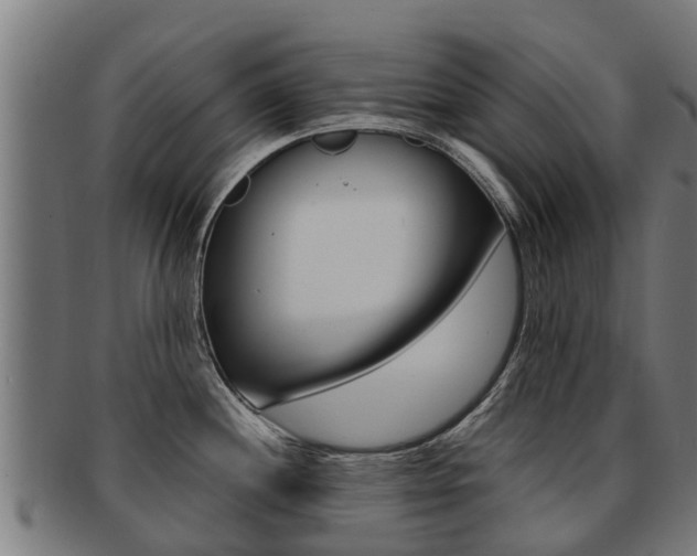 X0000091921244200709051225