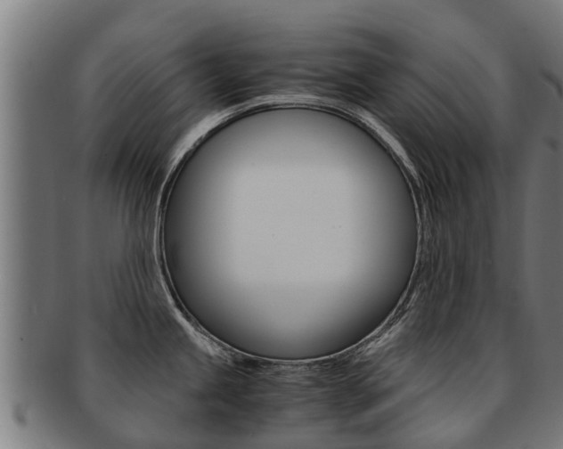 X0000091921245200709051225