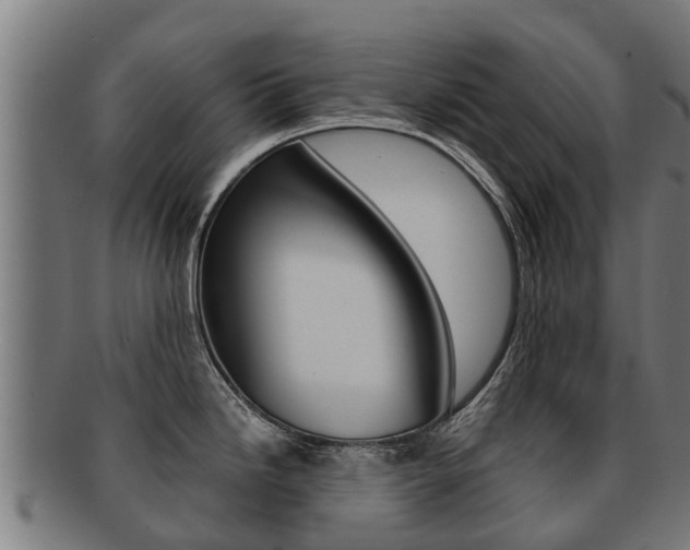 X0000091921246200709051225
