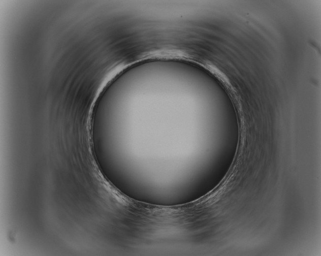 X0000091921248200709051225