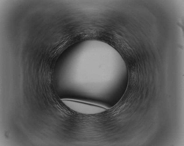 X0000091921250200709051224