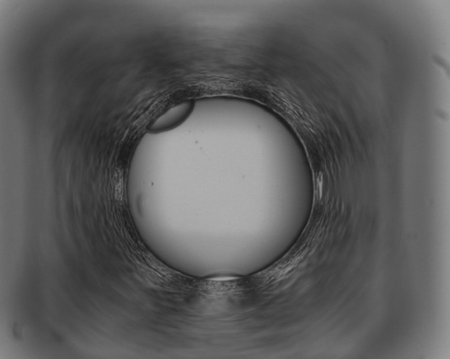 X0000091921251200709051224