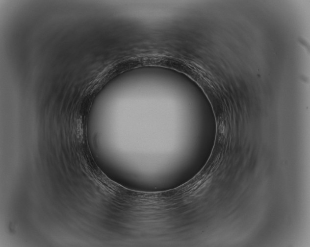 X0000091921252200709051224