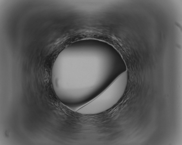 X0000091921253200709051224