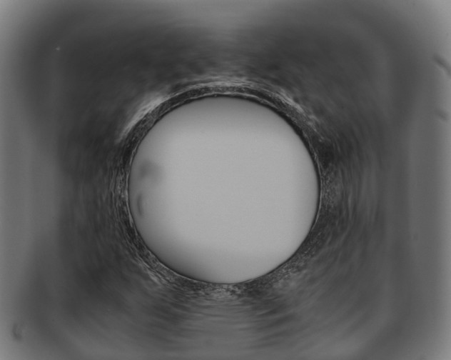 X0000091921255200709051224