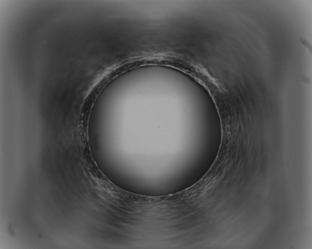 X0000091921256200709051224