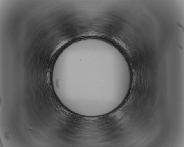 X0000091921258200709051224