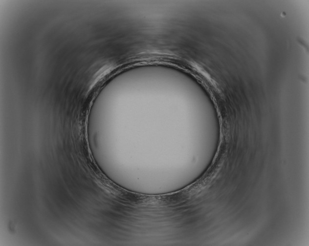 X0000091921259200709051224