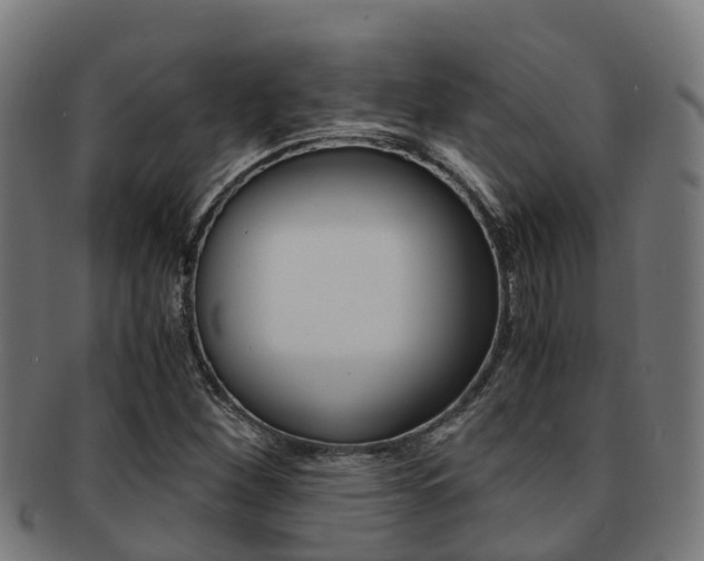 X0000091921260200709051224