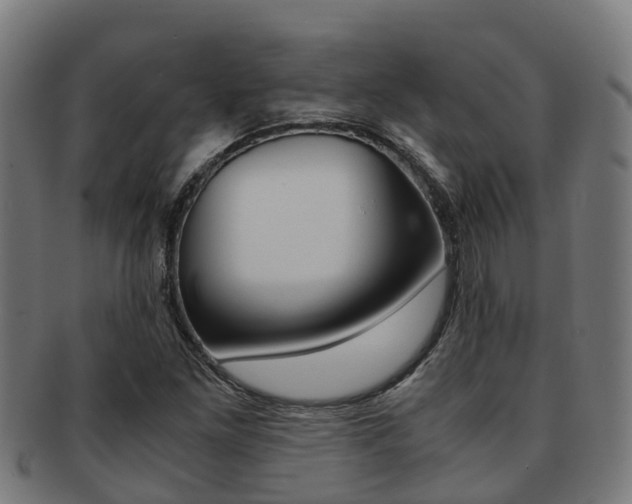 X0000091921261200709051224