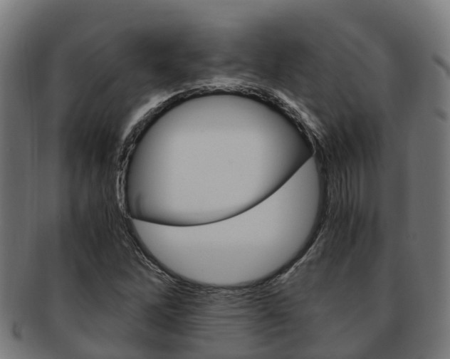 X0000091921262200709051224