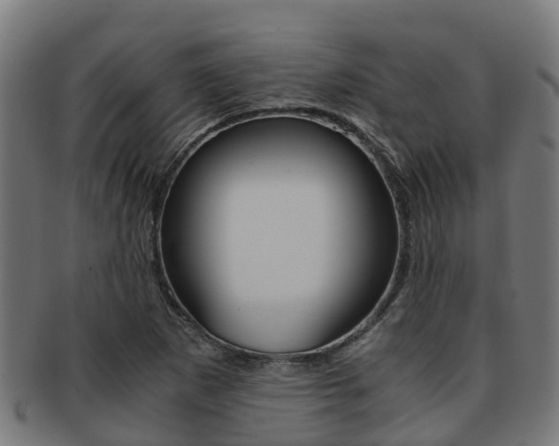 X0000091921265200709051224