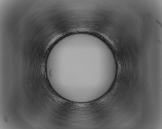 X0000091921266200709051224