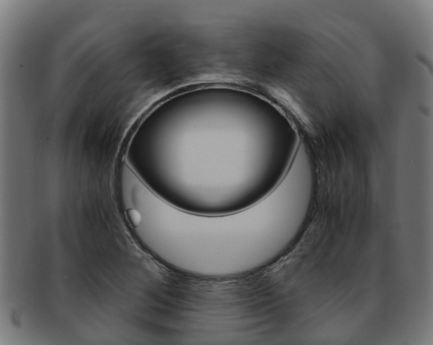 X0000091921268200709051224