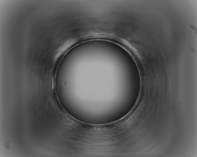 X0000091921269200709051224