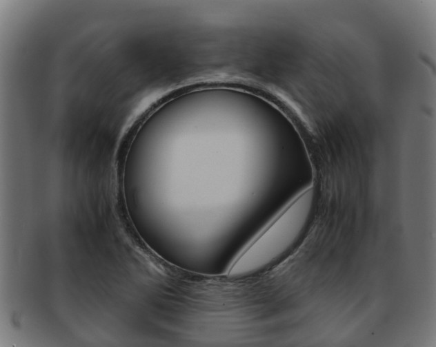 X0000091921270200709051224